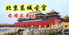 操我逼逼痒痒了,操我逼视频中国北京-东城古宫旅游风景区